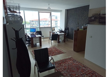 Deha Mali Müşavirlik