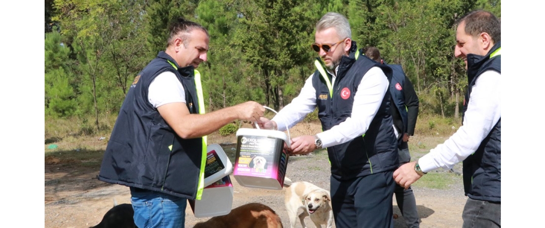 “4 Ekim Hayvanları Koruma Günü”ne özel etkinlik gerçekleştirildi.