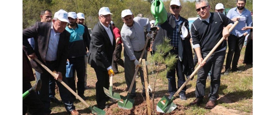 Ağaç Kampanyası